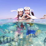 Snorkel & Chill: Nemo Island Trip from Pattaya - The Marine Environment and the Experience’s Authenticity