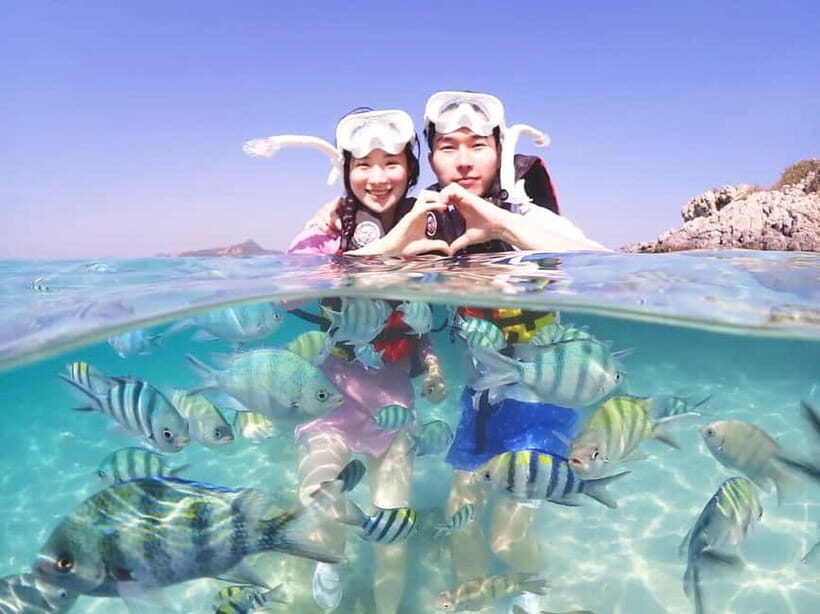 Snorkel & Chill: Nemo Island Trip from Pattaya - The Marine Environment and the Experience’s Authenticity