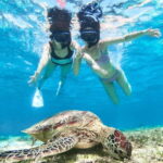 Snorkeling Activity in Okinawa Miyako Japan - The Value of the Tour