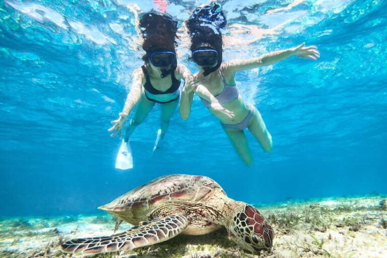 Snorkeling Activity in Okinawa Miyako Japan - The Value of the Tour