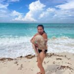 Snorkeling and Beach Tour with Sea Turtles - Transportation, Price, and Group Size