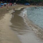 Snorkeling and Sightseeing Tour Explore Puerto Rico Marine Life - Authentic Experiences Highlighted by Reviewers