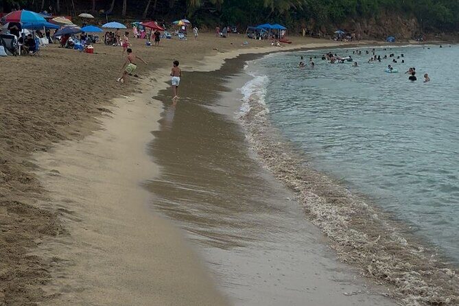 Snorkeling and Sightseeing Tour Explore Puerto Rico Marine Life - Authentic Experiences Highlighted by Reviewers