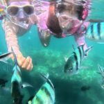 Snorkeling Blue Lagoon and Tanjung Jepun All Inclusive - What Makes This Tour Special?