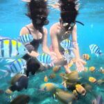Snorkeling Blue Lagoon and Tanjung Jepun All Inclusive - Who Should Book This Tour?