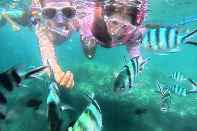 Snorkeling Blue Lagoon and Tanjung Jepun All Inclusive - What Makes This Tour Special?