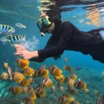 Snorkeling Blue Lagoon With lunch - Analyzing the Value and Practical Aspects