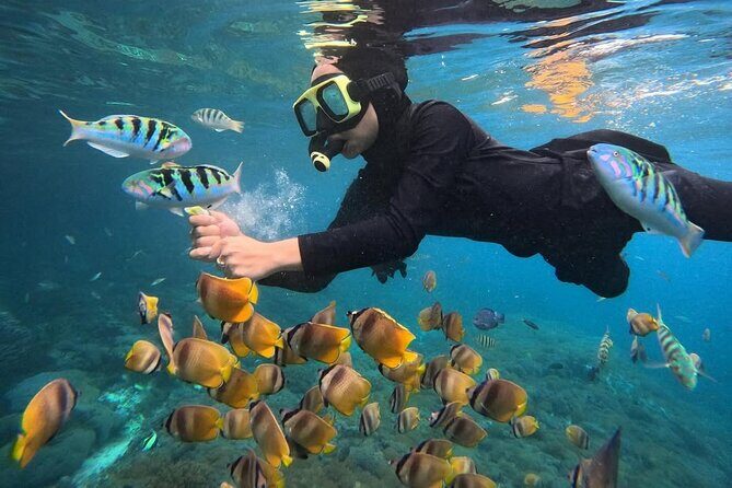 Snorkeling Blue Lagoon With lunch - Analyzing the Value and Practical Aspects