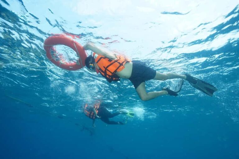Snorkeling course, become a confident snorkeler. - What to Expect on the Day