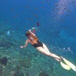 Snorkeling Day Trip to Nusa Lembongan and Nusa Penida - The Sum Up
