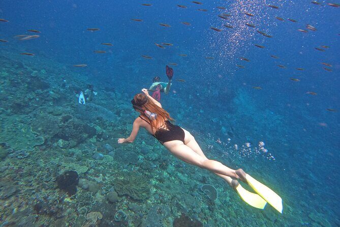 Snorkeling Day Trip to Nusa Lembongan and Nusa Penida - The Sum Up