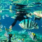 Snorkeling from Gili Trawangan: Private Group 4-Hour Trip - In-Depth Review of the Snorkeling Gili Islands Experience
