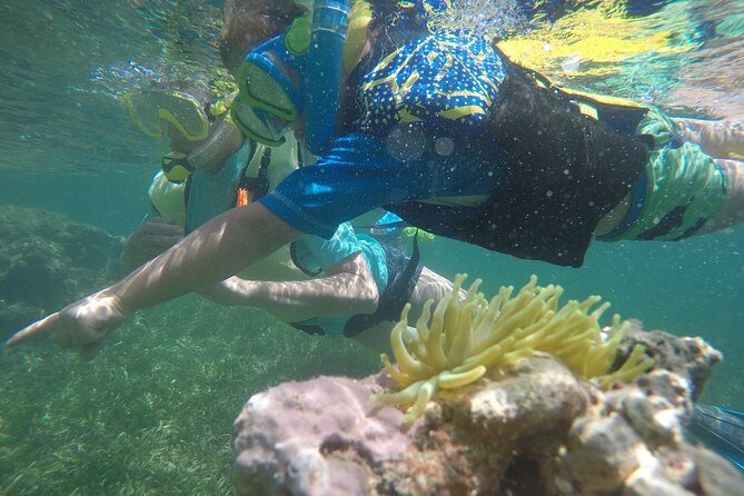 Snorkeling & Kayak Eco-Adventure in Puerto Rico - The Group Experience: Who’s It For?