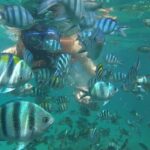 Snorkeling Kayaking Fishing Swimming Activities - The Details of the Tour Experience