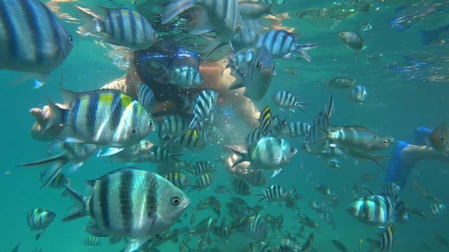 Snorkeling Kayaking Fishing Swimming Activities - The Details of the Tour Experience