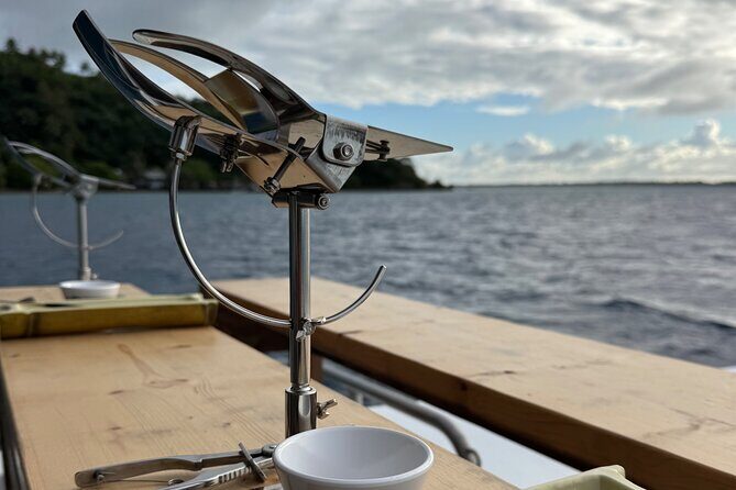 Snorkeling Shark Ray and Discovery DE the Black Pearl in Bora Bora - What Travelers Should Know