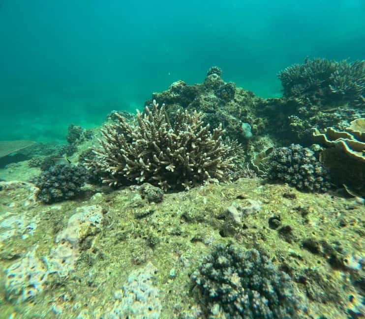 Snorkeling Trip To Angel Rock - What Is the Snorkeling Trip to Angel Rock All About?