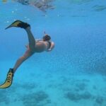Snorkeling with Sea Turtles - The Honest Review Based on Guest Experiences