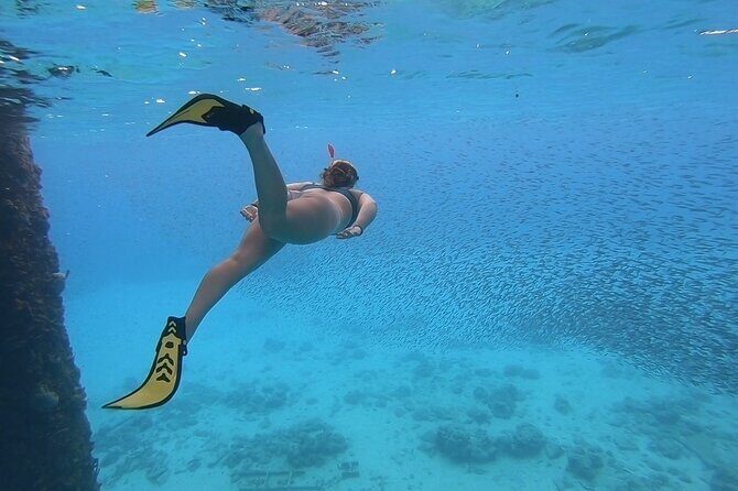 Snorkeling with Sea Turtles - The Honest Review Based on Guest Experiences