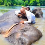 SO MANY BAD TITLES - Supporting Ethical Elephant Care