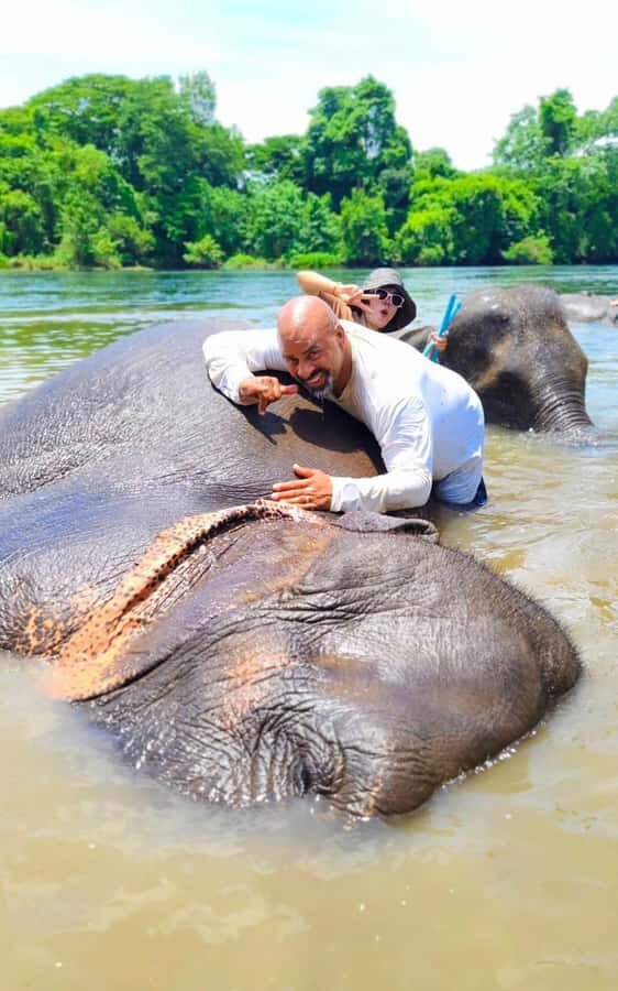 SO MANY BAD TITLES - Supporting Ethical Elephant Care