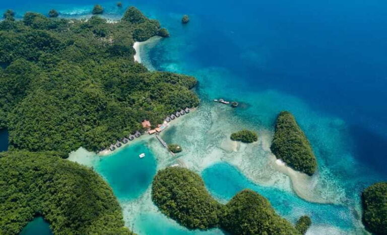 Sohoton Cove: Swim with Jellyfish & Explore Hidden Lagoons - What to Expect from the Sohoton Cove Tour