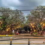 Solo Traveler Friendly Manila Walk w/ Mobile Photography - A Deep Dive into the Itinerary and Highlights