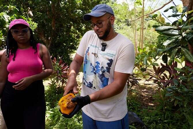 Soma Garden All Inclusive Tropical Fruit Farm Tour - The Sum Up: Is the Soma Garden Tour Worth It?