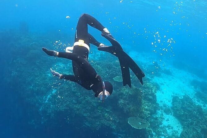 Son Tra Snorkeling Adventure with traditional boat - Who Is This Tour Best For?