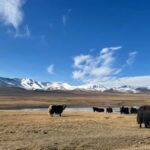 Song-Kul Lake : Kyrgyz Yurts Stay & Horseback Ride (2 DAYS) - Exploring the Itinerary: What to Expect