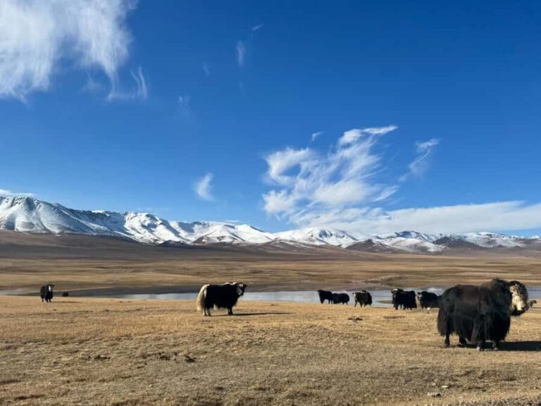 Song-Kul Lake : Kyrgyz Yurts Stay & Horseback Ride (2 DAYS) - Exploring the Itinerary: What to Expect