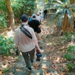 Songs Beneath the Stars on Okinawas 65-Person Hidden Island - Practicalities and What to Expect