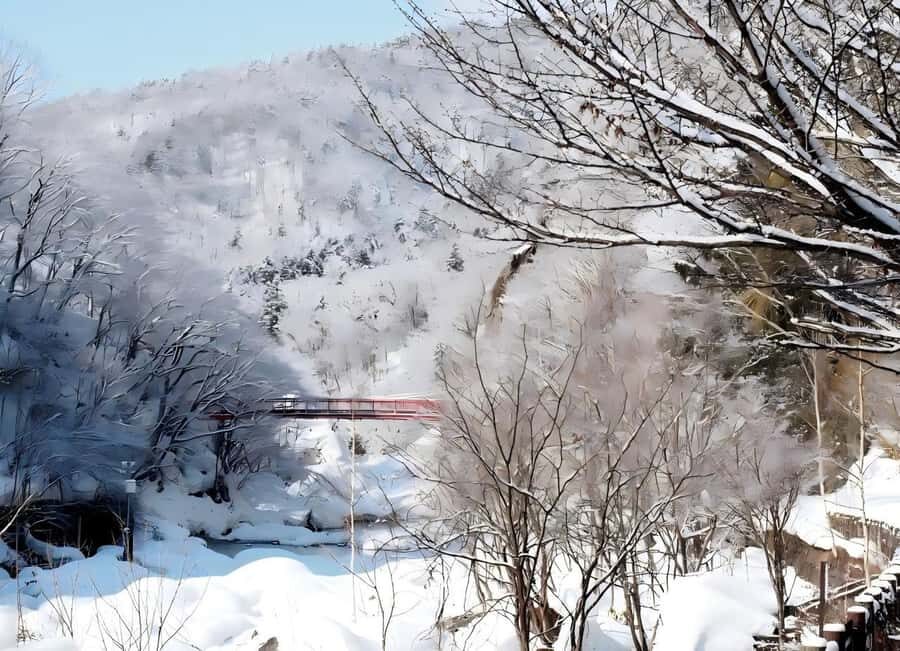 Sopporo: Hokkaido Shrine and Atama Daibutsu Full-Day Tour - What Makes This Tour Stand Out?