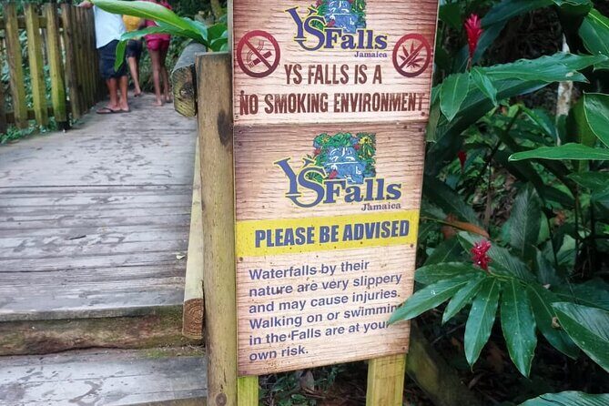 South Coast Tour to YS Falls, Black River Safari and Appleton Rum - Who Should Consider This Tour?