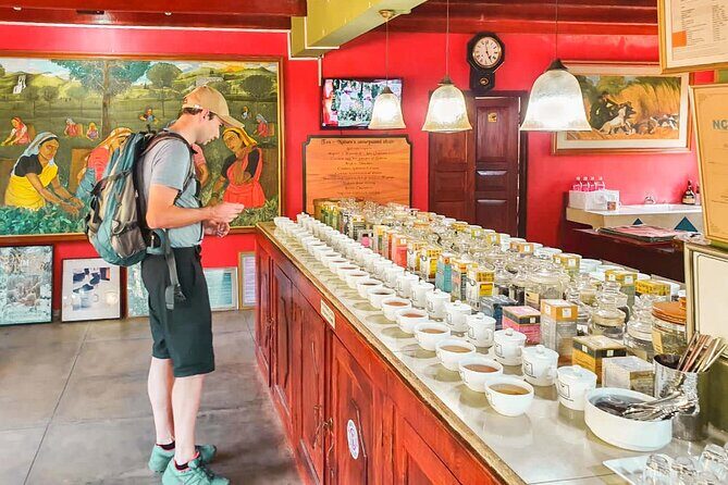 Southern Coast Highlights from Hambantota - Handunugoda Virgin White Tea Estate