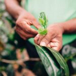 Southern Coast Highlights from Mirissa - Considerations for Travelers