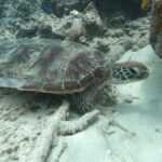 SouthWest Secret Gili,Gili Layar,Gili Gede&Gili Rengit - The Experience: What You Can Expect from This Tour