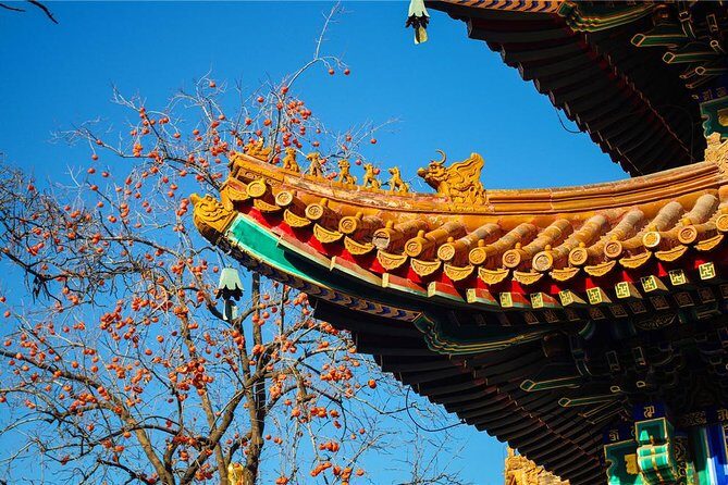 Special Offer: Lama Temple with Best Tour Guide - Why Choose This Tour and What to Expect