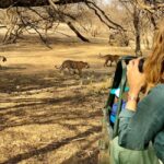 Spot Tigers and other wild of Ranthambore on a Day-Same Tour - What Travelers Say