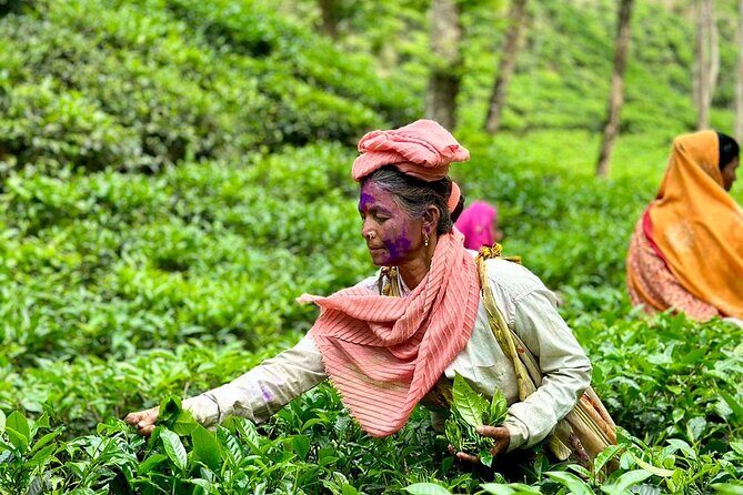 Sreemangal Tea Tour Experience Nature and Culture in a Local way - Day 1: Starting the Journey from Dhaka to Sreemangal