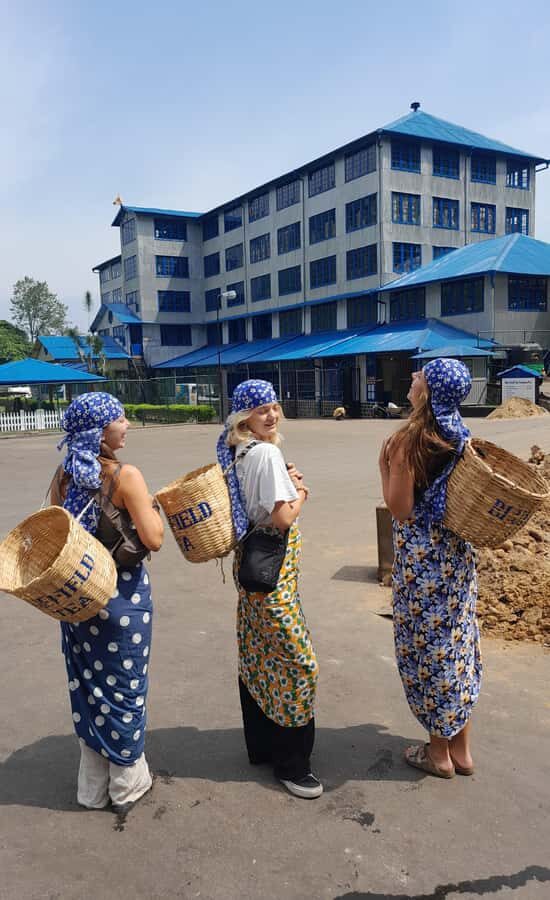 Sri Lanka: 15-Day Guided Tour with Transfers & Hotels - Final Thoughts: Is This Tour Right for You?  