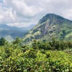 Sri Lanka 3-day Private Tour: Kandy, Nuwara Eliya, Ella - An In-Depth Look at the Tour Experience