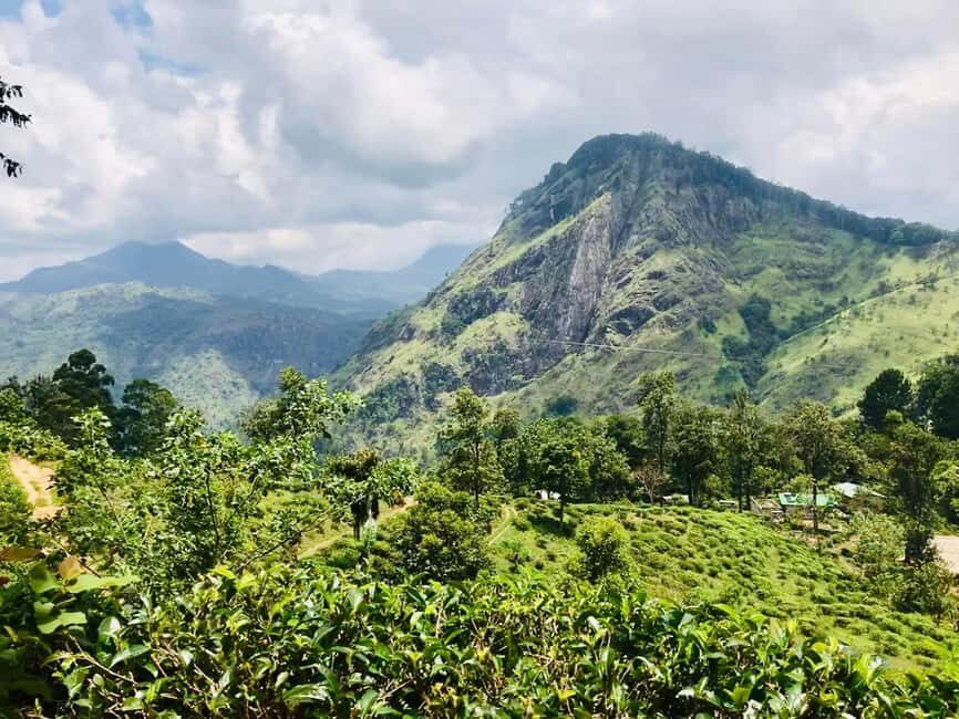 Sri Lanka 3-day Private Tour: Kandy, Nuwara Eliya, Ella - An In-Depth Look at the Tour Experience