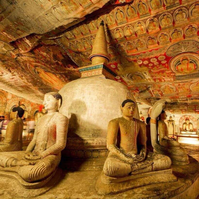 Sri Lanka: 5-Day Cities and Nature Round Tour from Colombo - How Does the Price Reflect the Experience?