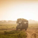 Sri Lanka: 5-Day Tour with Hill Country, Cultural Triangle - An In-Depth Look at the 5-Day Sri Lanka Tour