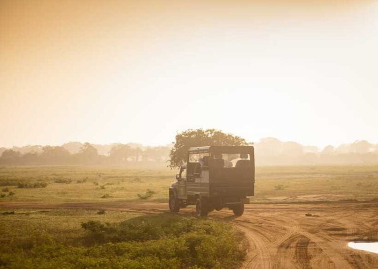 Sri Lanka: 5-Day Tour with Hill Country, Cultural Triangle - An In-Depth Look at the 5-Day Sri Lanka Tour