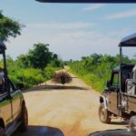 Sri Lanka: 7-Day Wildlife Safari and Eco Tour with Hotels - Exploring the Itinerary in Detail