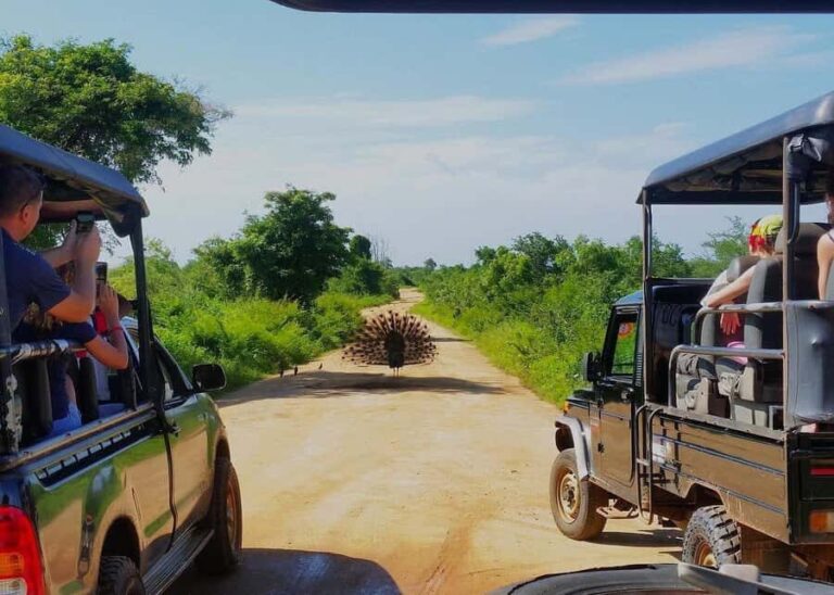 Sri Lanka: 7-Day Wildlife Safari and Eco Tour with Hotels - Exploring the Itinerary in Detail