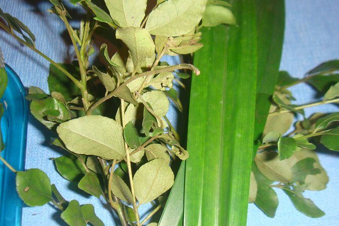 Sri Lankan Cooking with Tricks - What to Expect During the Class