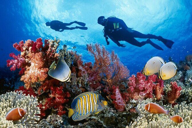 Sri Lankan Luxury Tour Package 14 days - Final Thoughts